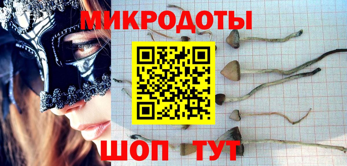Галлюциногенные грибы мицелий  купить  сайты  Канаш  Галлюциногенные грибы Cubensis  Вход с VPN 